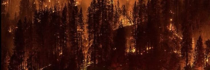 𝚃𝚑𝚎 𝚁𝚎𝚍 𝚃𝚒𝚍𝚎 banner