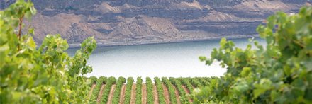 WINES of WASHINGTON banner