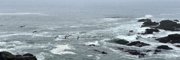 AWishCrafted Profile Banner