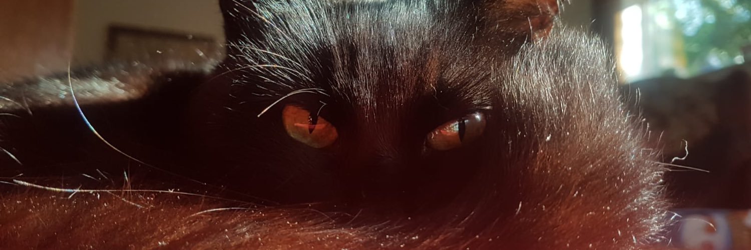 Æthelflæd🌻 banner