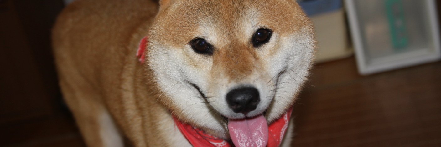 ronyone2004's profile banner image