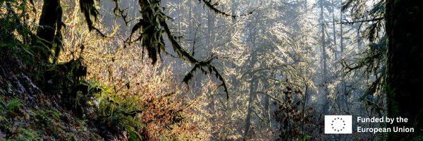 informa_forests Profile Banner