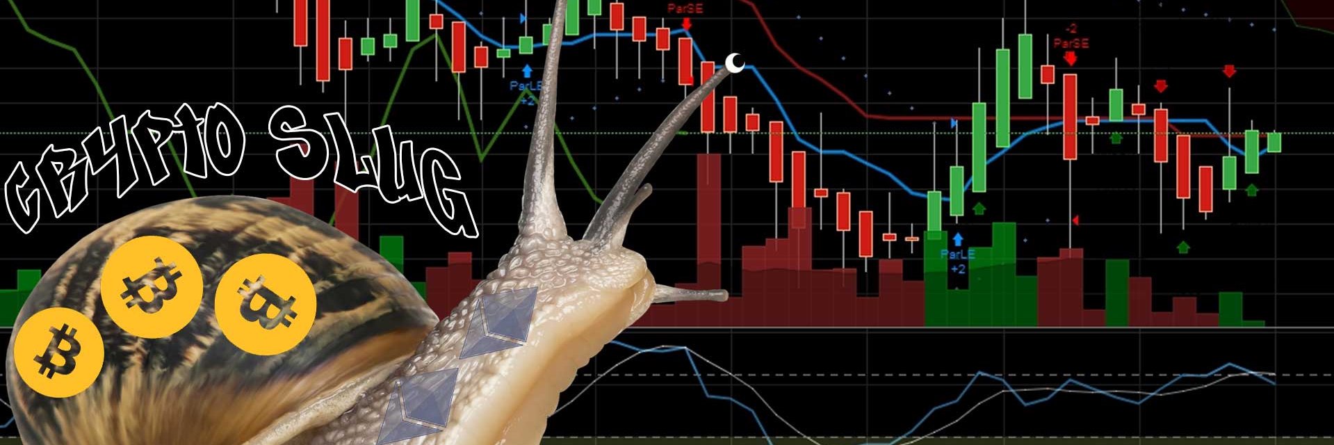 BingTrade's profile banner image