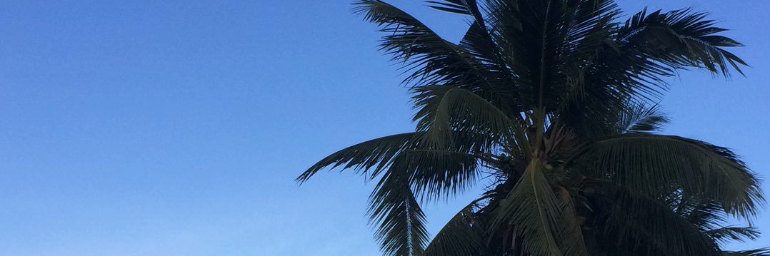 noneeeeee__'s profile banner image