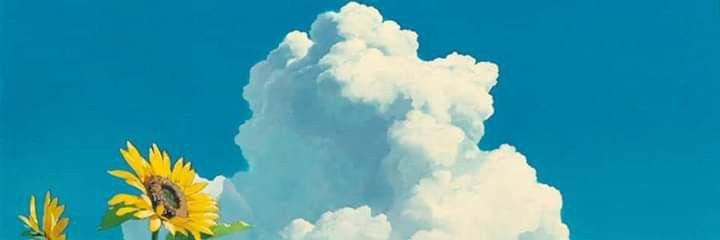 teme's banner