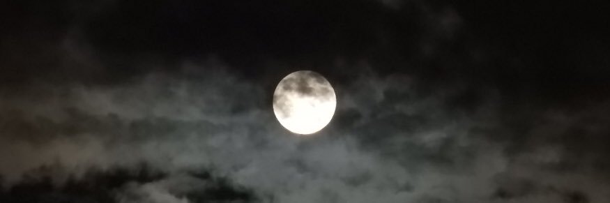 hon112989's profile banner image