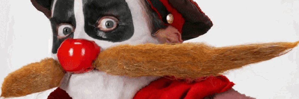 P͓̽3͓̽3͓̽R͓̽'s banner