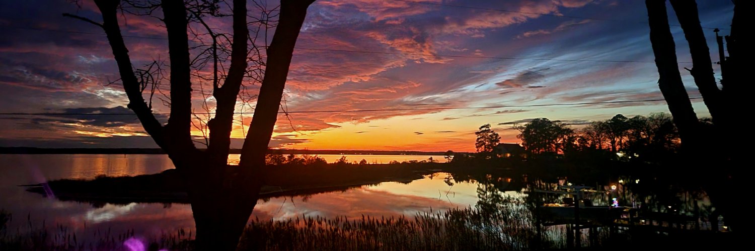 Oh!Snap! 📷 🇺🇸 🐾 🐊 banner