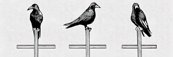 flawedaxioms Profile Banner
