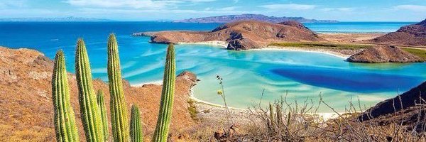 VortalisReal Profile Banner