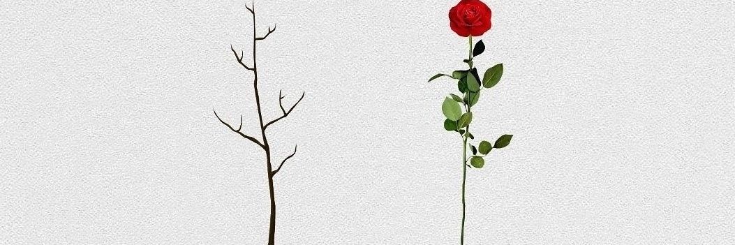 xmdstnx's profile banner image