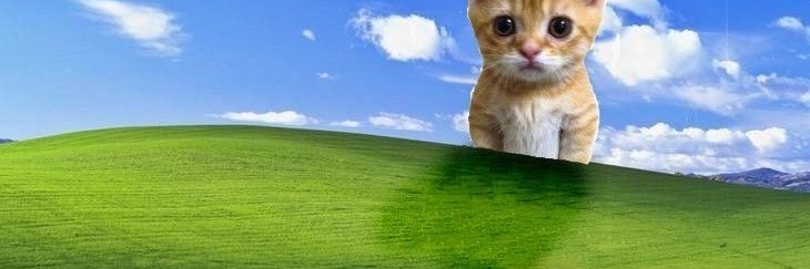 0618fibonacci's profile banner image