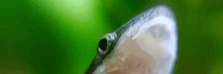 mokoLock's profile banner image