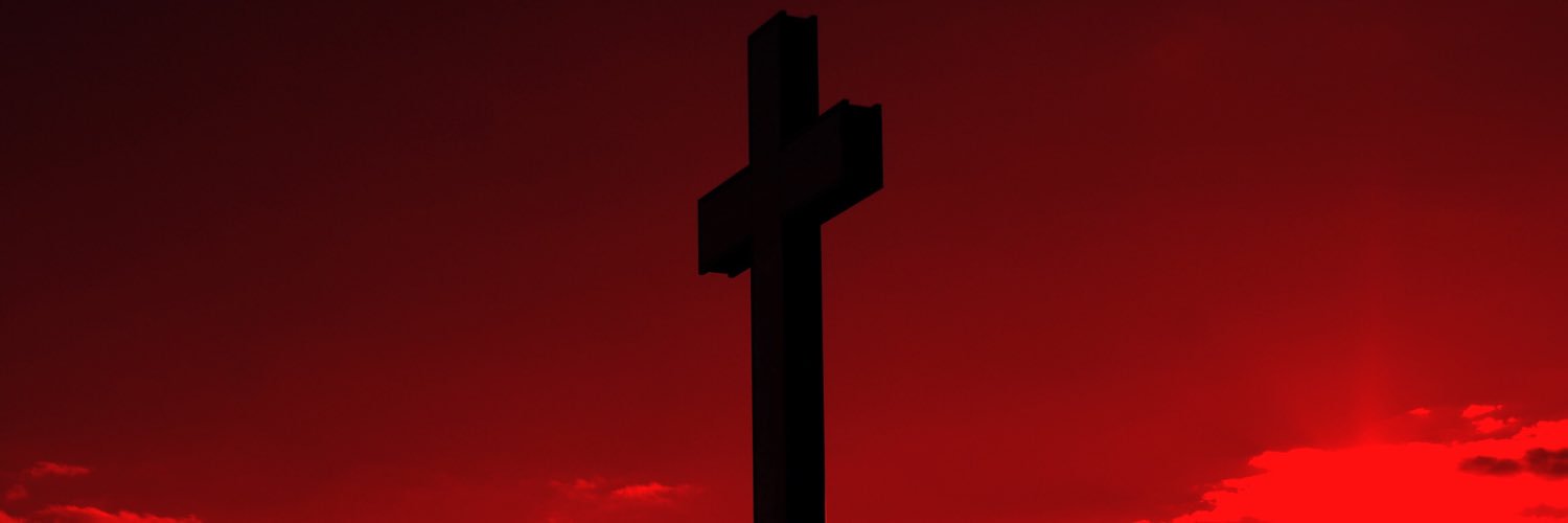_discofries's profile banner image