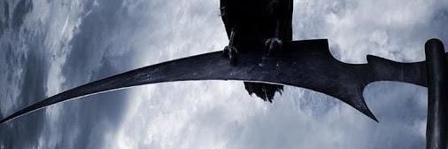 PhenixRossi's profile banner image