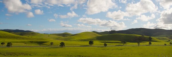 cruiser607 Profile Banner