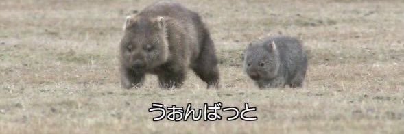 munouismajiko's profile banner image