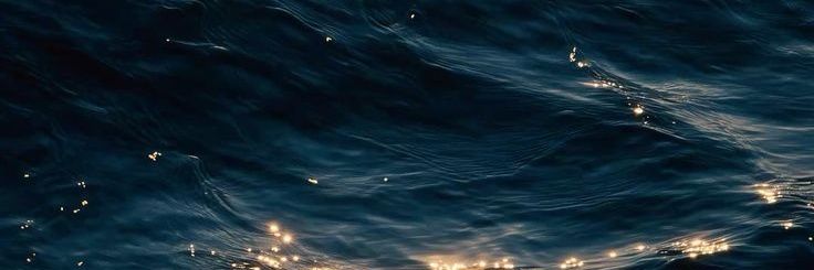 🍀 banner