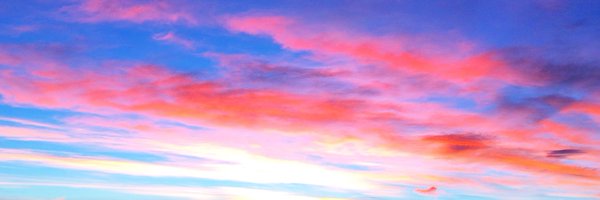 SusanSweet Profile Banner