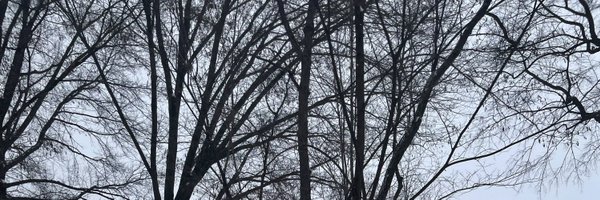 josdotph Profile Banner