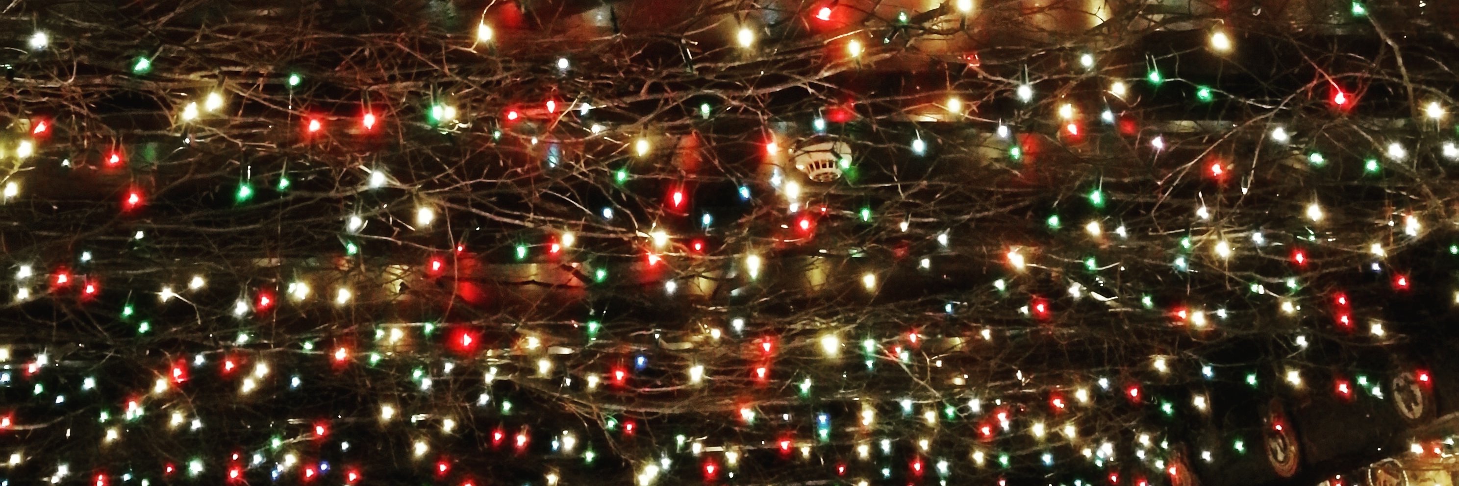 katiearchivist's profile banner image