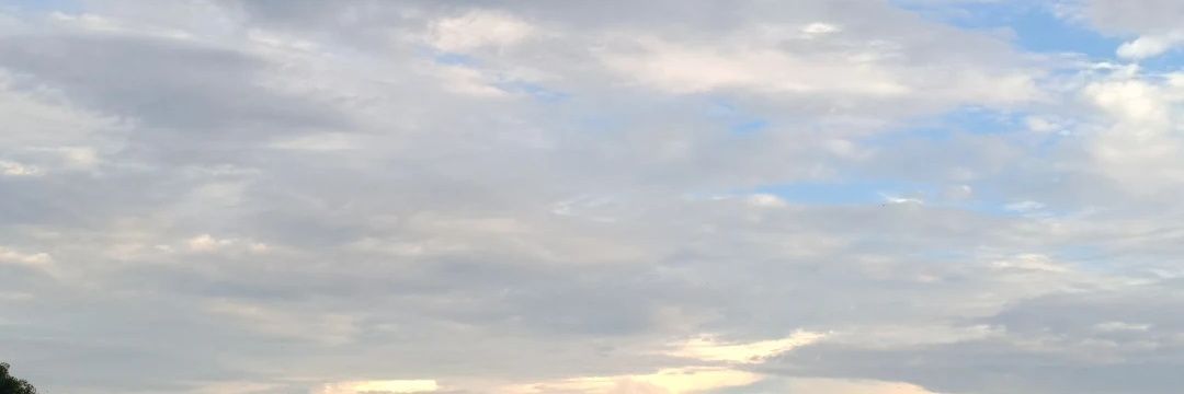 system_sh's profile banner image