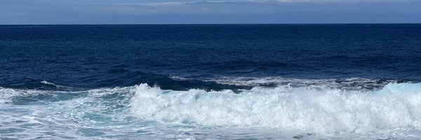 Demna36324008 Profile Banner