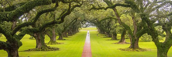 SouthernCharm2a Profile Banner