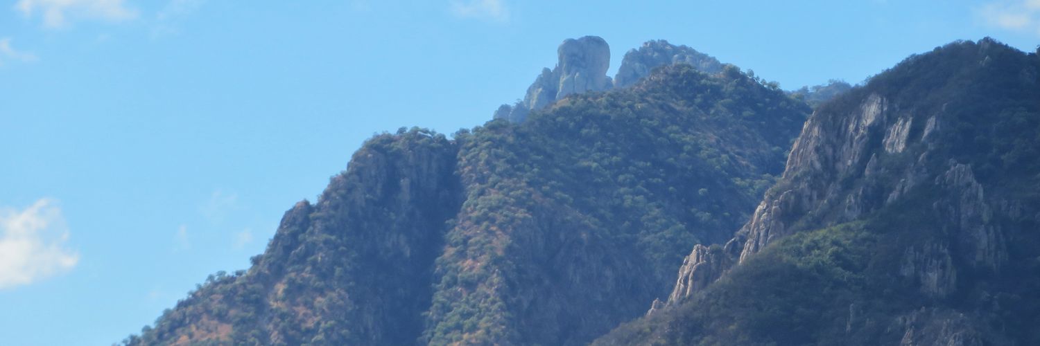 alexgrodzero's profile banner image