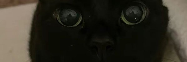IlSoro Profile Banner