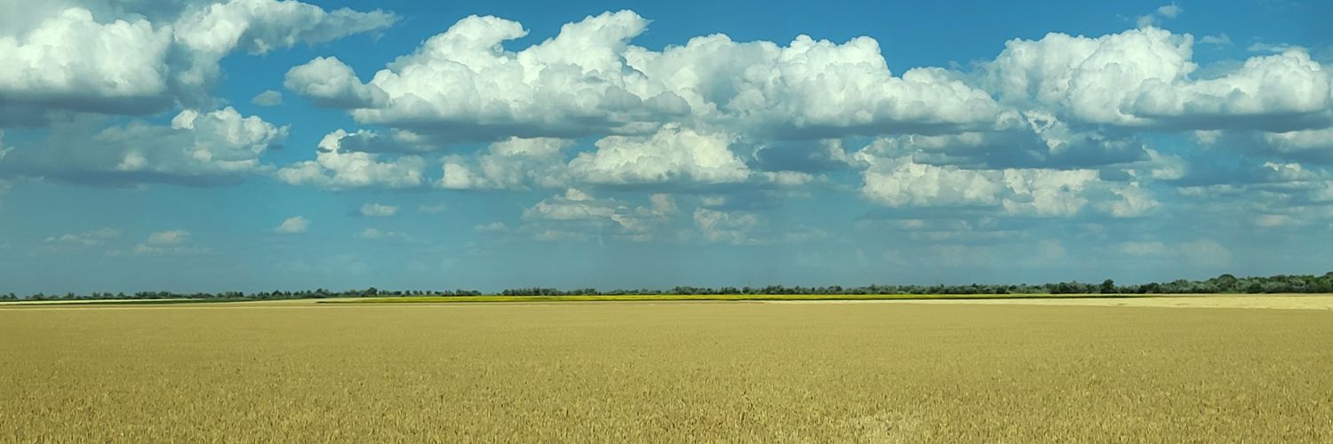 RCernata's profile banner image