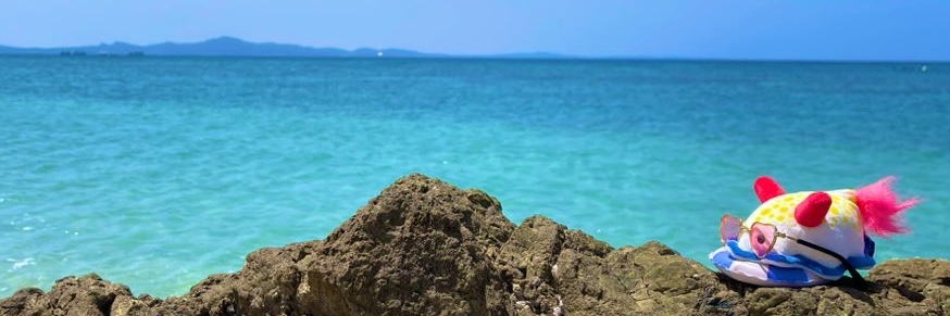 RISA(沖縄産) banner