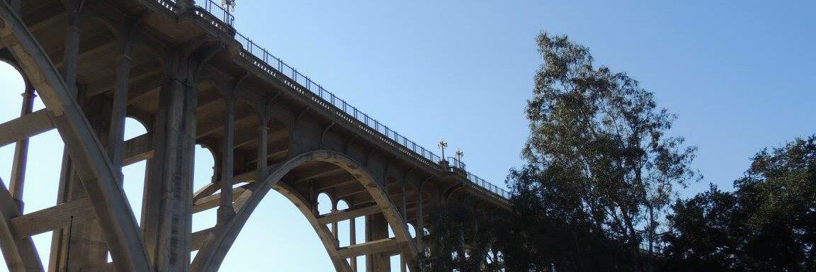 Vanessa Walker banner