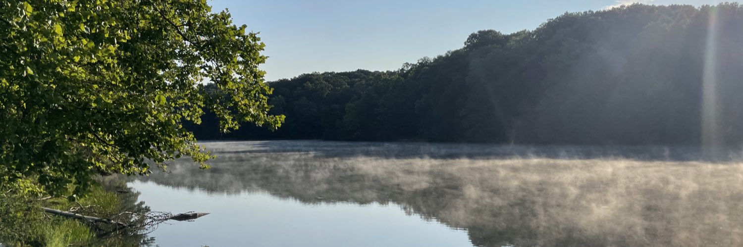 Dr Sara Vestergren banner