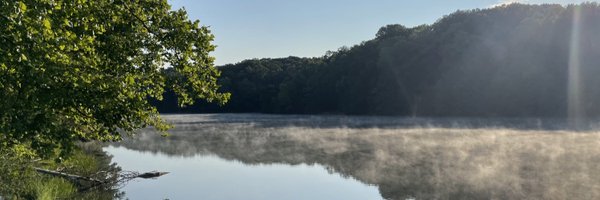 SwedishProtests Profile Banner