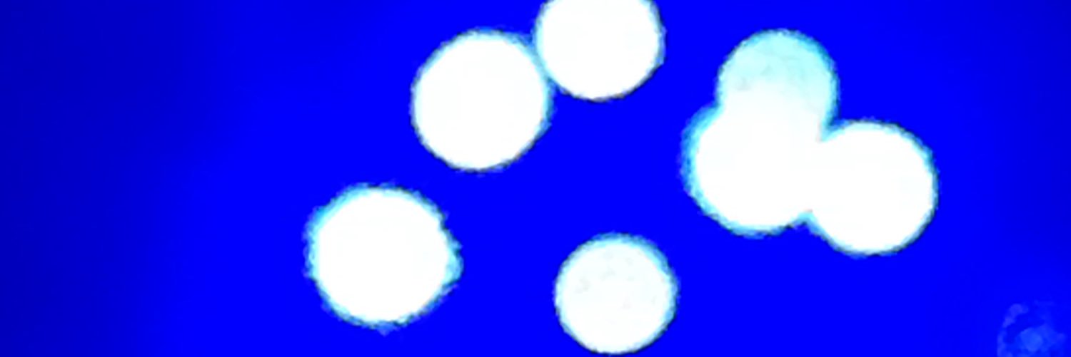 JoseLopez5's profile banner image