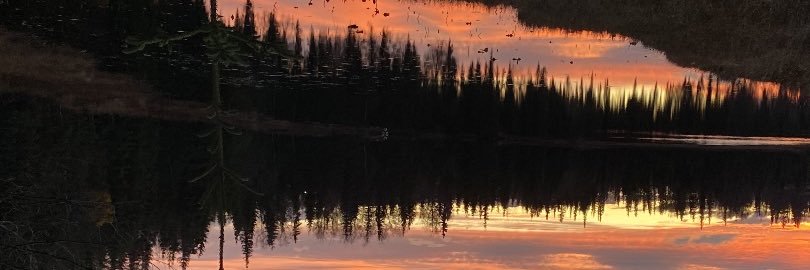 WinterHasCome banner