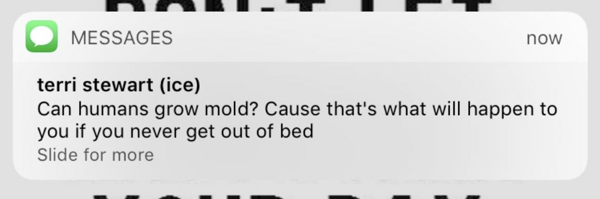 kathryn stewart banner