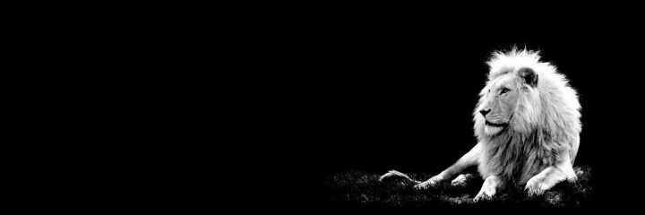 DroegemeierK's profile banner image