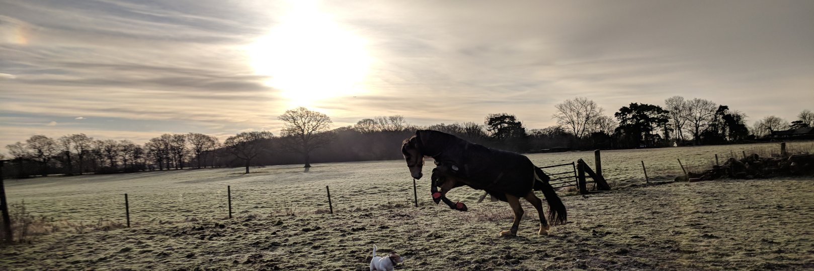 Jonny Olliff-Lee banner