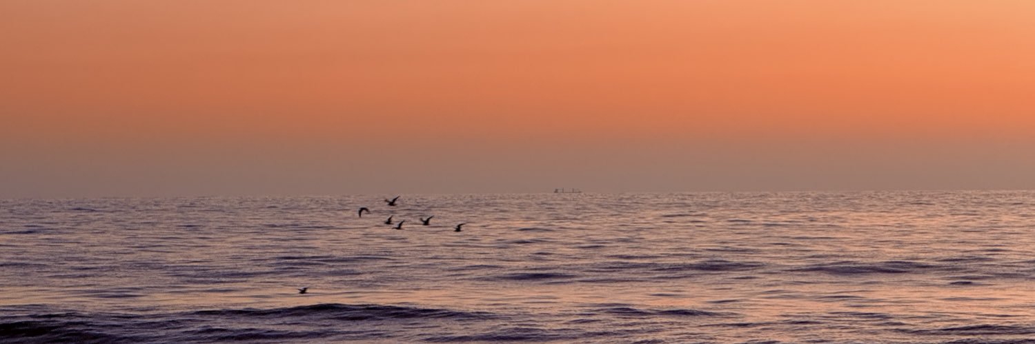amarantamiranda's profile banner image