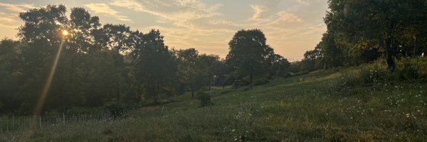 TLMFarming Profile Banner