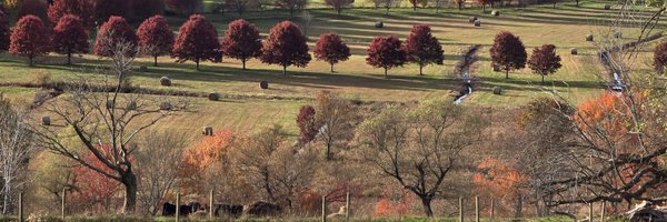 TLMFarming Profile Banner