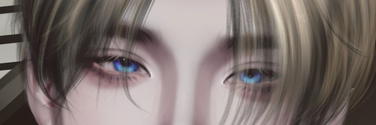 Sir⁹ banner