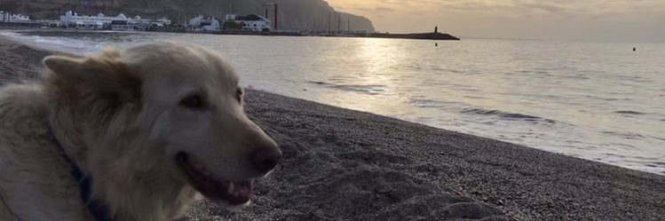 ebgggggg's profile banner image