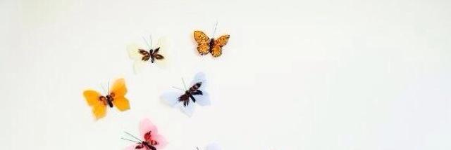 _darling_nn's profile banner image
