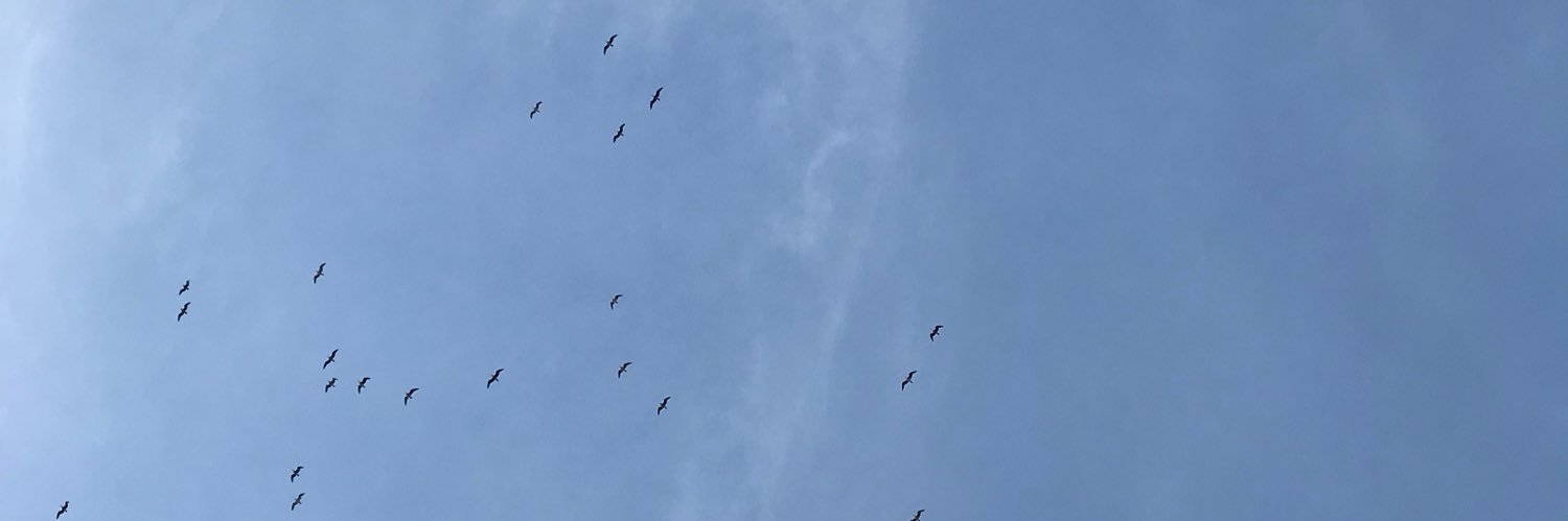 Jan Platovsky banner