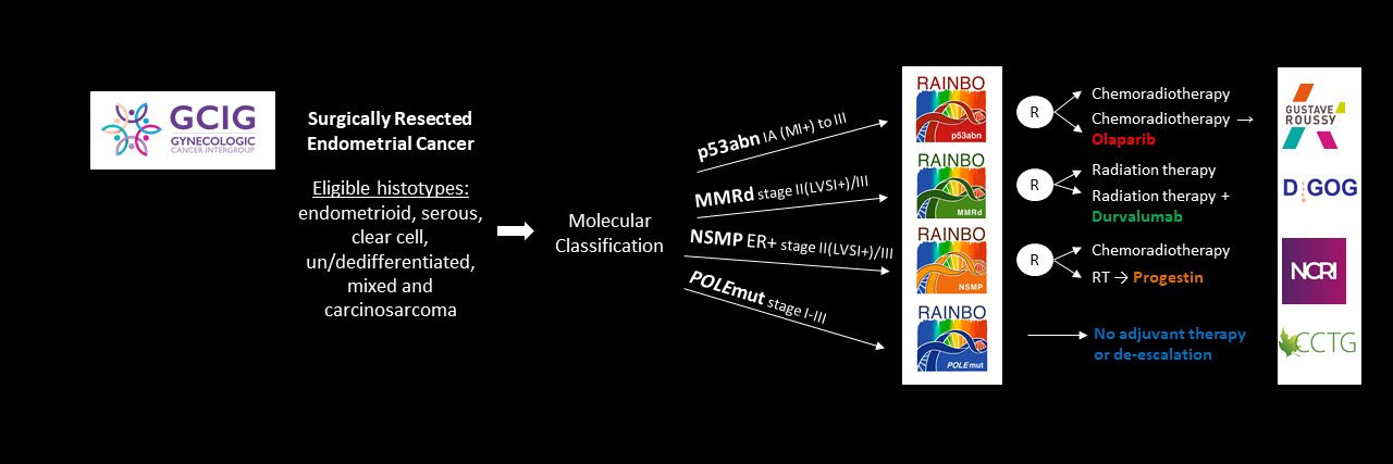 RAINBO Research Consortium banner