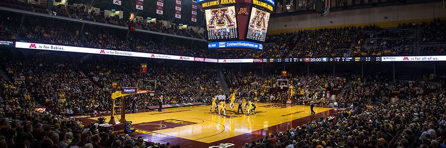 Official SGBA Minnesota Golden Gophers banner