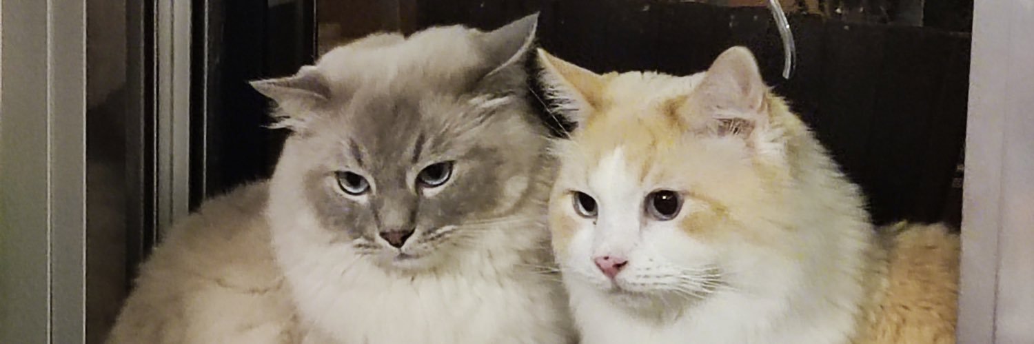 virginia coloma  banner